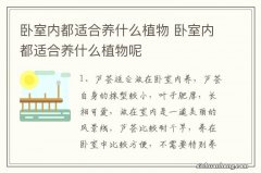 卧室内都适合养什么植物 卧室内都适合养什么植物呢