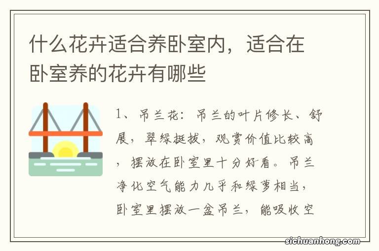 什么花卉适合养卧室内，适合在卧室养的花卉有哪些