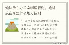 蟾蜍放在办公室哪里招财，蟾蜍放在家里什么地方招财