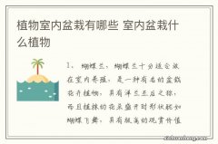 植物室内盆栽有哪些 室内盆栽什么植物