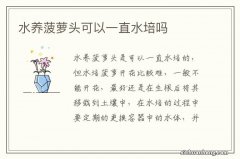 水养菠萝头可以一直水培吗