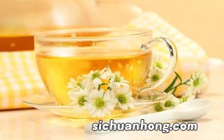 菊花茶跟什么一起泡