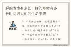 蝉的寿命有多长，蝉的寿命有多长时间因为他的生命甲醛