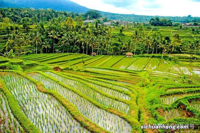 印尼巴厘岛体验“原生态”民俗文化之旅