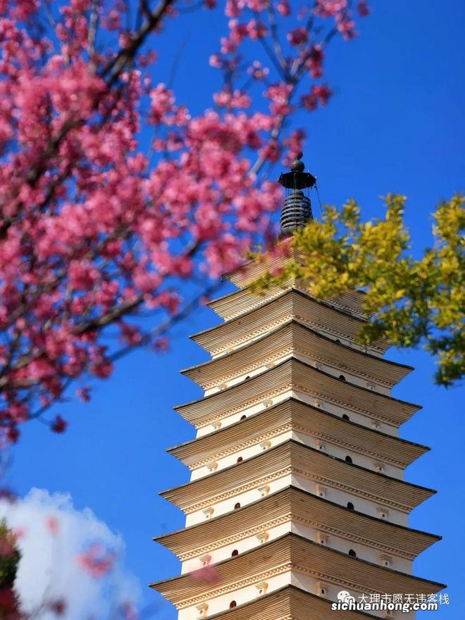 三塔樱花开，美景自然来！