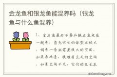 银龙鱼与什么鱼混养 金龙鱼和银龙鱼能混养吗