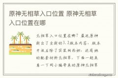 原神无相草入口位置 原神无相草入口位置在哪