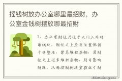 摇钱树放办公室哪里最招财，办公室金钱树摆放哪最招财