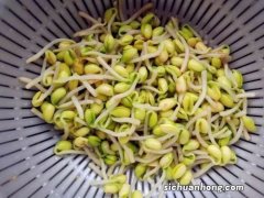 黄豆发芽炒什么菜