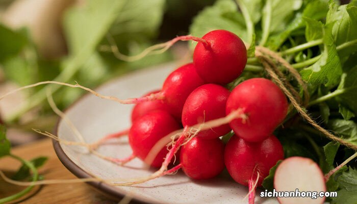 怎么种萝卜的简单方法视频 怎么种萝卜的简单方法