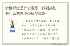 梦到抓蛇是什么意思周公解梦属蛇 梦到抓蛇是什么意思