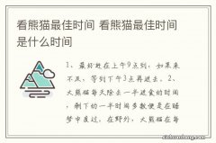 看熊猫最佳时间 看熊猫最佳时间是什么时间