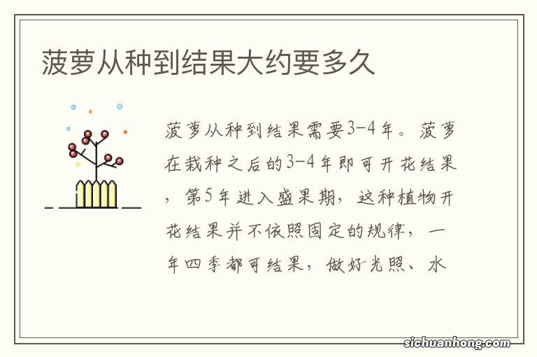 菠萝从种到结果大约要多久