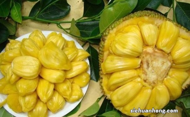 菠萝蜜的吃法有哪些？吃菠萝蜜有什么注意事项？