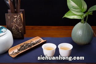 用什么茶具泡普洱最适宜