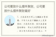 公司要放什么摆件聚财，公司要放什么摆件聚财最好