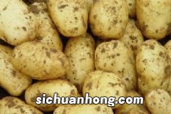 夏天喝什么汤对皮肤好?夏天喝什么汤解暑?