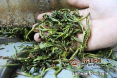 漳州水仙茶属于什么茶