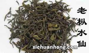 喝老枞水仙有什么作用