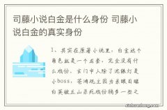 司藤小说白金是什么身份 司藤小说白金的真实身份