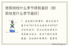 树剪枝是什么季节最好 修剪树枝什么季节修剪最好