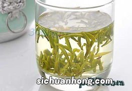 黄山名茶属什么茶