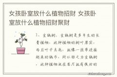 女孩卧室放什么植物招财 女孩卧室放什么植物招财聚财