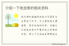 介绍一下地龙骨的相关资料