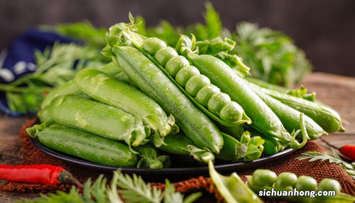 豌豆的种植方法和时间视频 豌豆的种植方法和时间