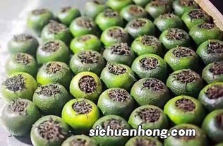 小青柑什么时候的差