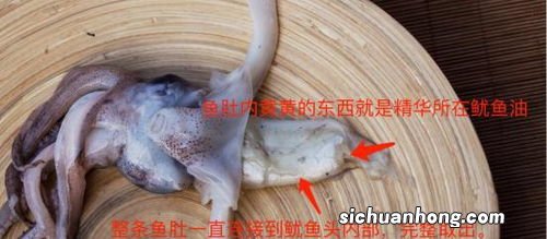 鱼肚里的鱼籽怎么做