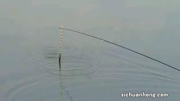 鱼抄杆怎么做好吃