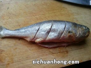 鱼背切花怎么切