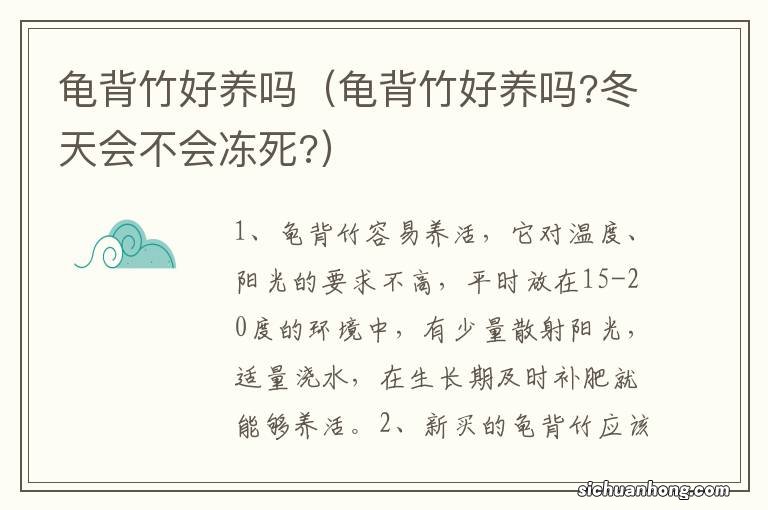 龟背竹好养吗?冬天会不会冻死? 龟背竹好养吗