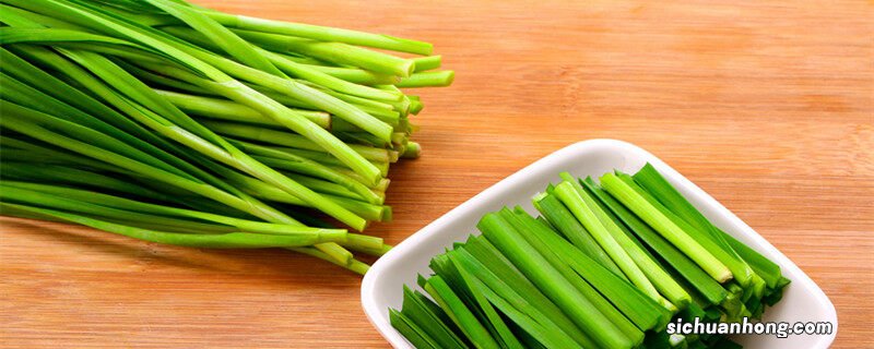 水培韭菜简单种植技术视频 水培韭菜简单种植技术