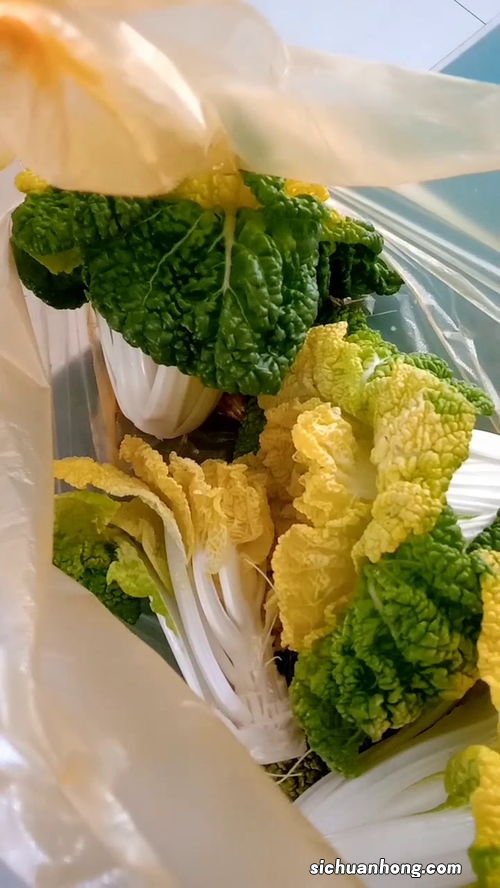 什么菜可以长期储存