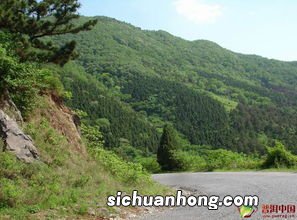 临沧有什么山头茶