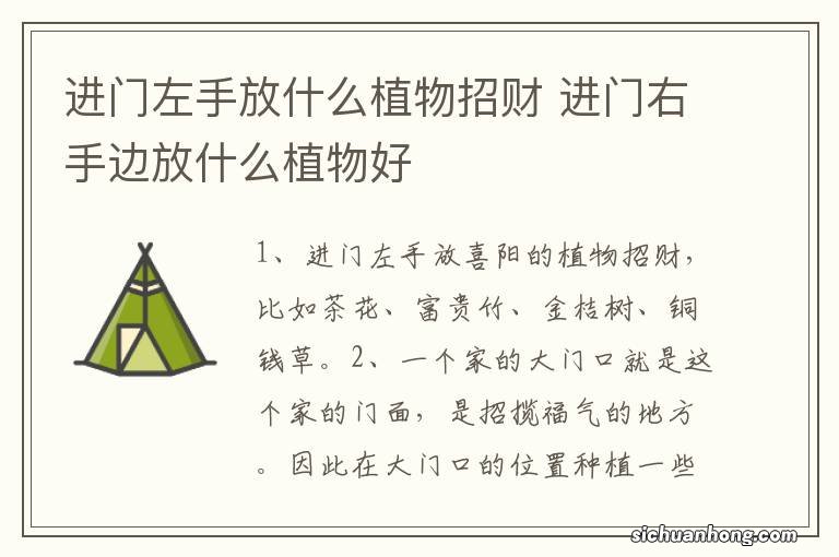 进门左手放什么植物招财 进门右手边放什么植物好