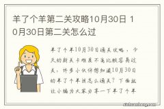 羊了个羊第二关攻略10月30日 10月30日第二关怎么过