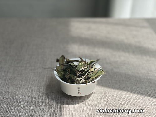为什么白茶可以久放呢