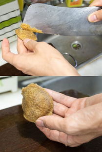 陈皮放多久好能用