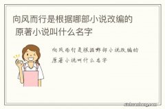 向风而行是根据哪部小说改编的 原著小说叫什么名字