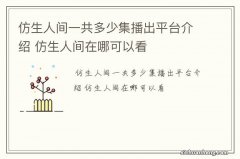 仿生人间一共多少集播出平台介绍 仿生人间在哪可以看