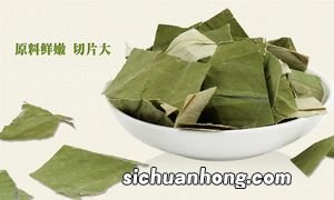 荷叶茶与什么茶泡水最好