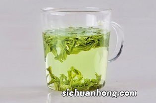 荷叶茶与什么茶泡水最好