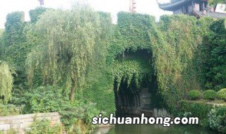 苏州适合情侣游玩的地方在哪 苏州适合情侣游玩的地方有哪些