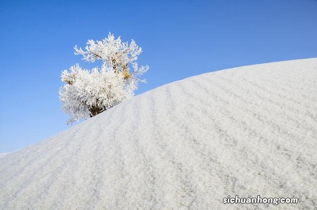 全国各地雾凇大赏！琼花玉树一相逢，便惊起“哇”声一片