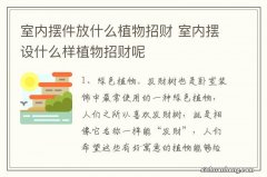 室内摆件放什么植物招财 室内摆设什么样植物招财呢