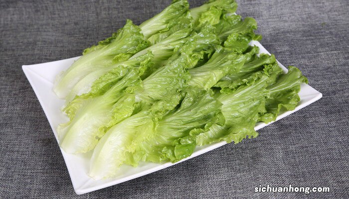 生菜种子直接种还是先催芽好 生菜种植方法步骤