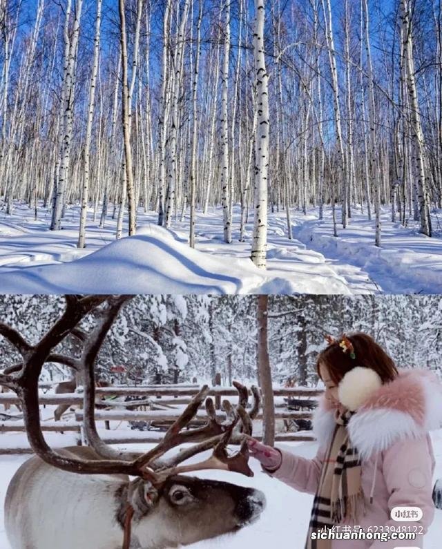 漠河｜这里可能看不到极光，但一定有最美的冬日